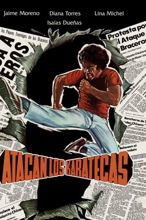 Atacan los karatecas