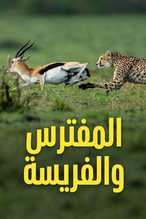 المفترس والفريسة