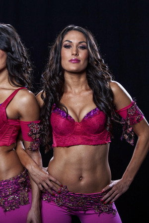 The Bella Twins
