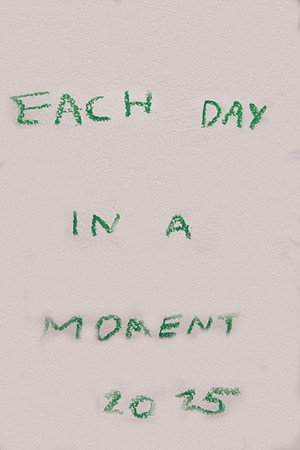 Each Day in a Moment: 2025