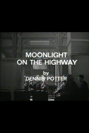 Moonlight on the Highway