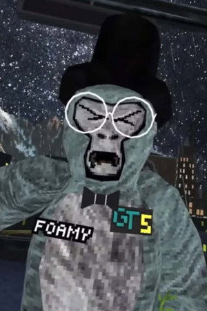 FoamyGT FoamyGT
