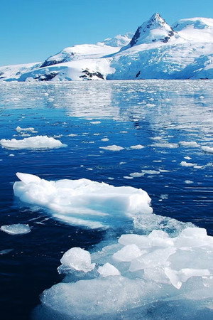Journey to the Poles