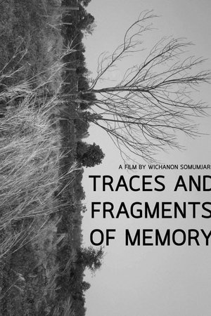 Traces and Fragments of Memory