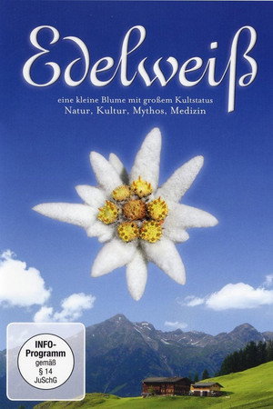 Edelweiß