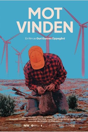 Mot vinden