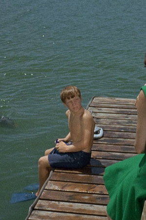 Lady and the Dolphin (1)