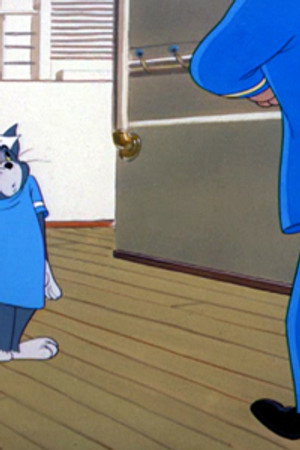 Cruise Cat