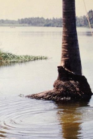 Una isla rodeada de agua