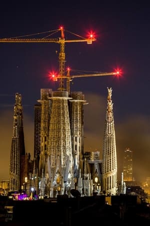 Barcelona, la rosa de foc