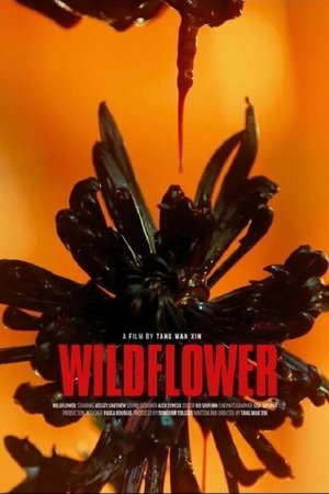 Wildflower