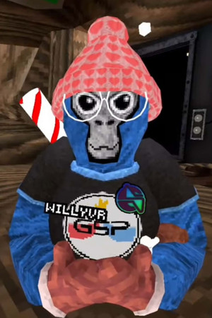 WillyVR WillyVR