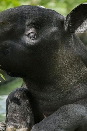 8. epizoda