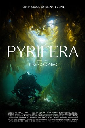 Pyrifera
