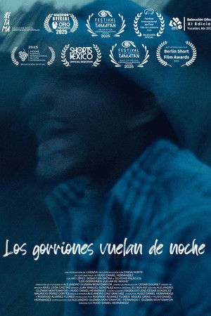 Los gorriones vuelan de noche