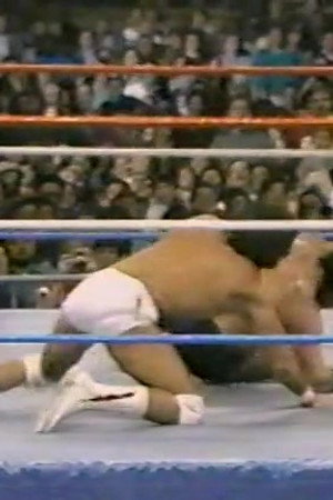 January 16, 1988 - Superstars of Wrestling 72