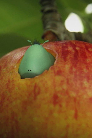 Love apple