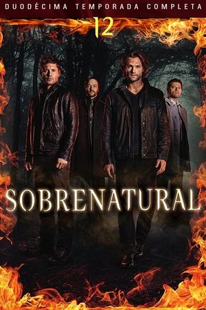 Temporada 12