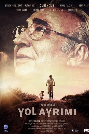Yol Ayrımı