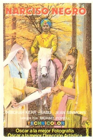 Imagen de Narciso negro