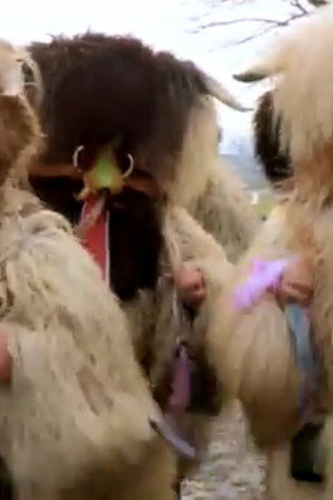 European Festivals (1)