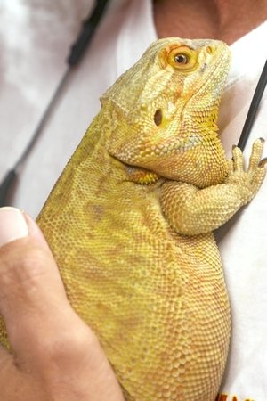 6. epizoda