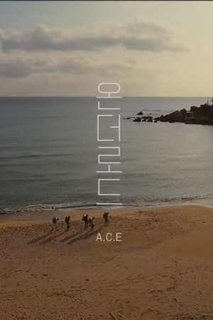 A.C.E On The Road
