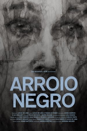 Arroio Negro