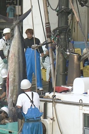 epizoda
