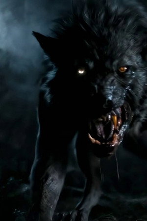 The Legend of the Werewolf