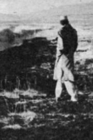 12. epizoda