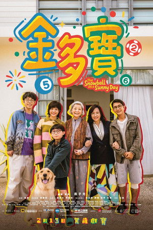 The Snowball on a Sunny Day