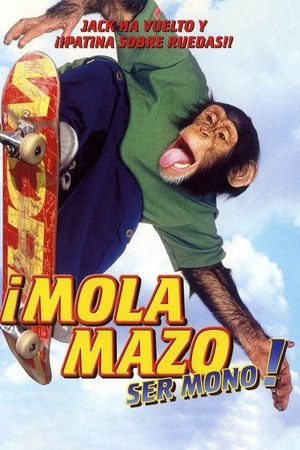 MVP 2: Most Vertical Primate