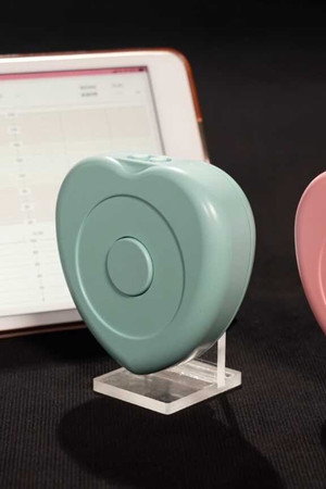 Portable Fetal Monitors