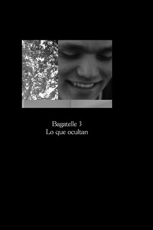 Bagatelle 3: Lo que ocultan