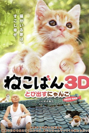 Neco-Ban: Cats in Your Life