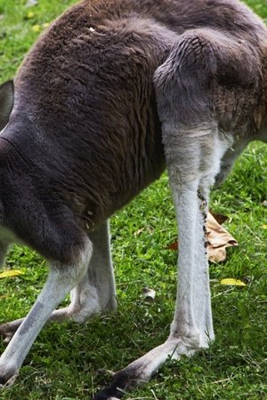 3. epizoda