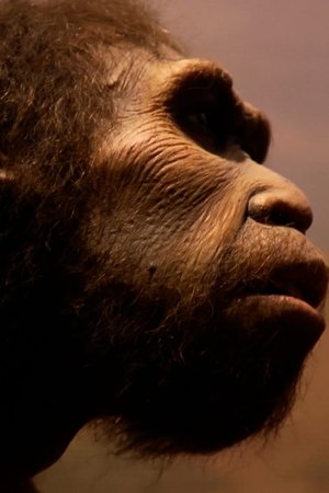 10. epizoda