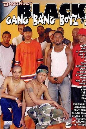 Black Gang Bang Boyz 2