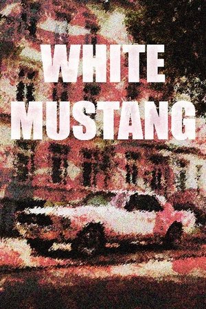 White mustang