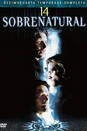 Temporada 14