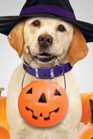 The Dog Who Saved Halloween