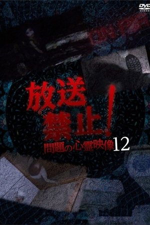 Broadcast Prohibited! Troubling Supernatural Footage 12