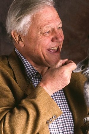 Masožravci