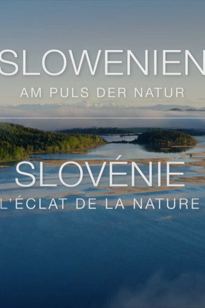 Slowenien - Am Puls der Wildnis