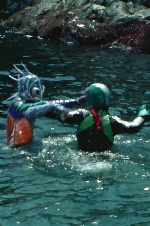 Suspicious Merman Amazonia