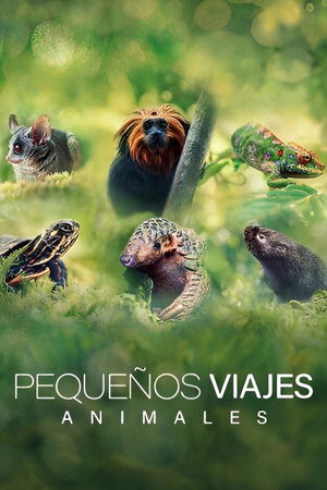 Pequeños viajes animales