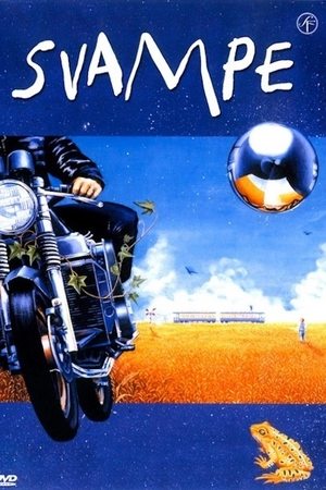 Svampe