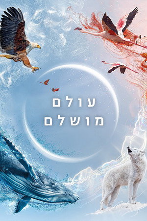 עולם מושלם