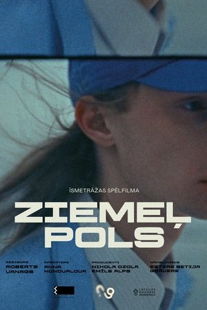 Ziemeļpols